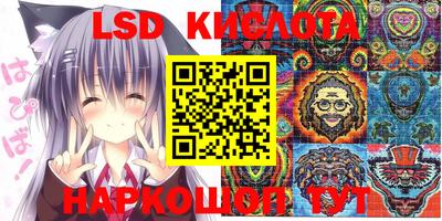 spice Кандалакша