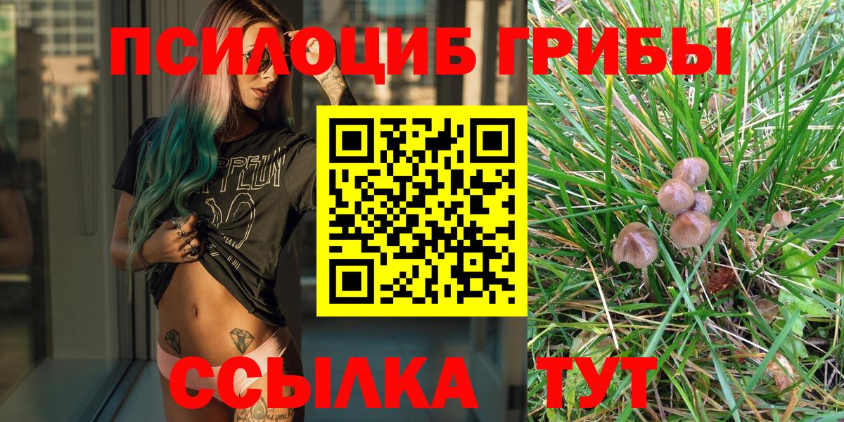 Донской  Галлюциногенные грибы Psilocybine cubensis  где продают   Вход с VPN 